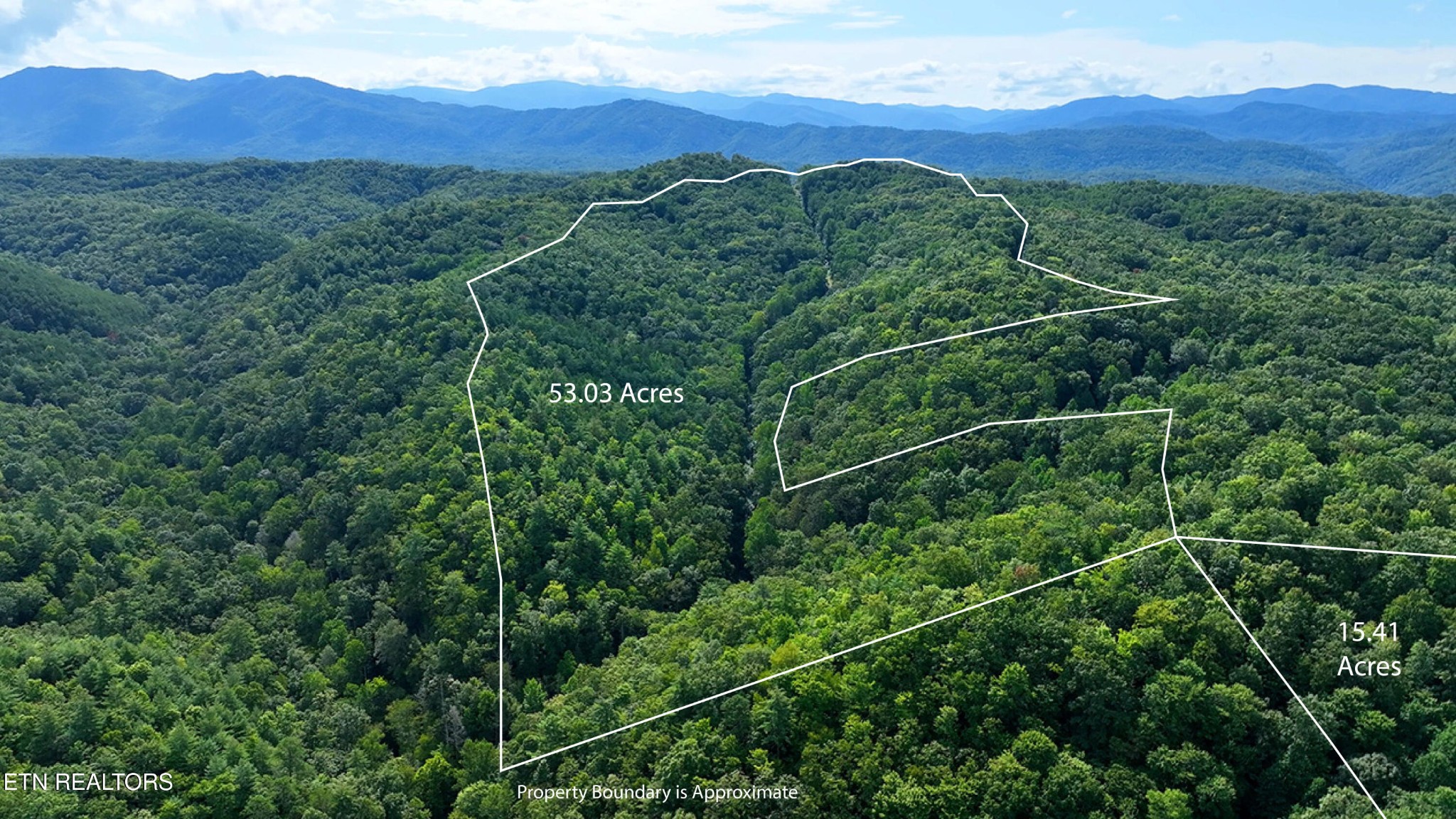 250 Seng Garden Road Tellico Plains, TN 37385 - Photo 2 of 15