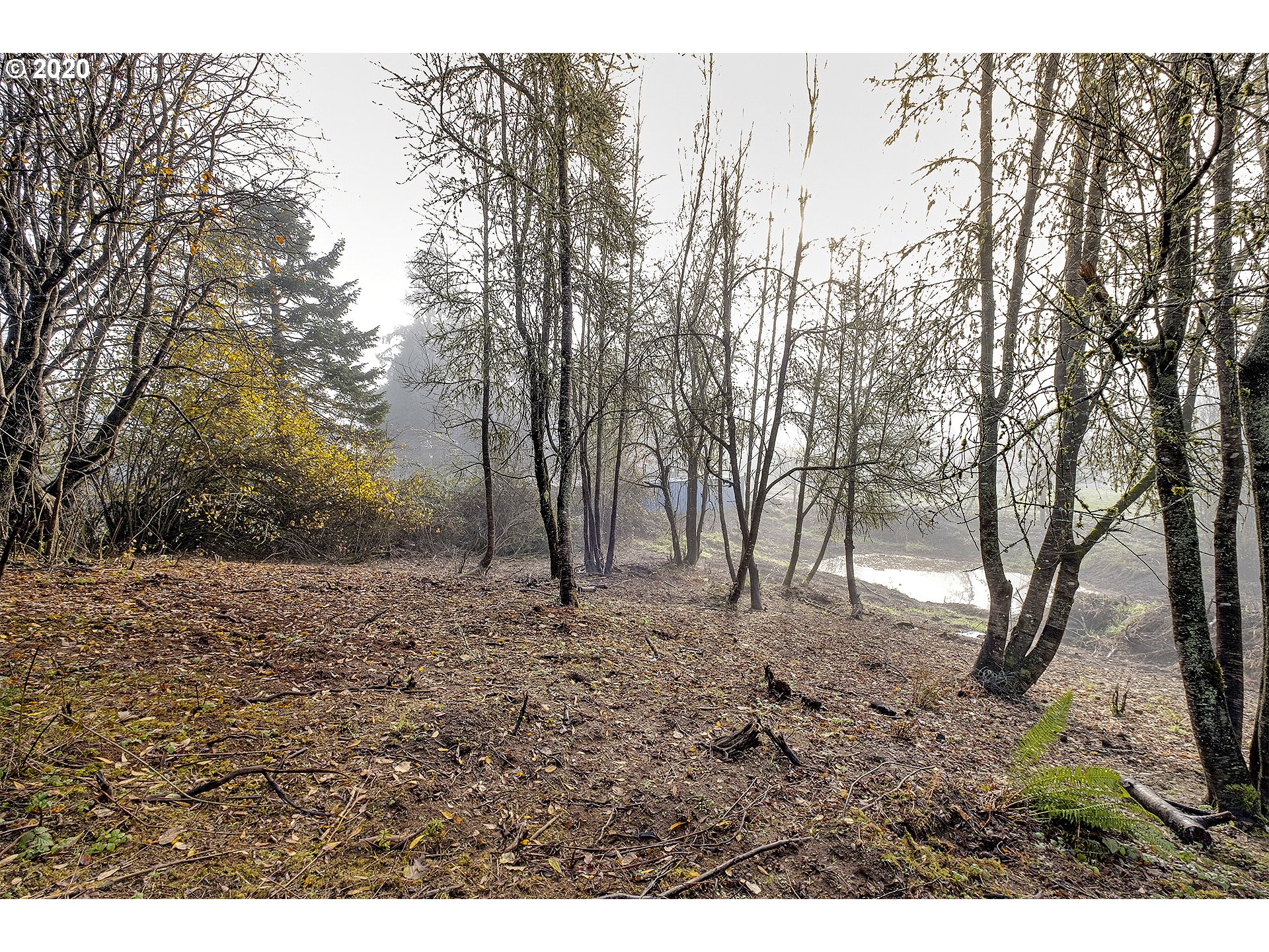 52520 Northwest Scofield Road Buxton, OR 97109 - Photo 26 of 29 Gallery Image 26