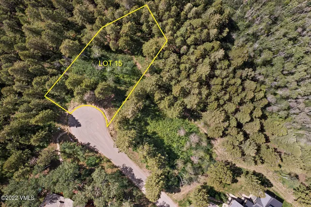 a view of a lush green hillside and a mountain