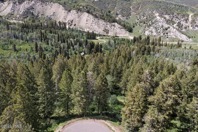 a view of a lush green hillside and a mountain
