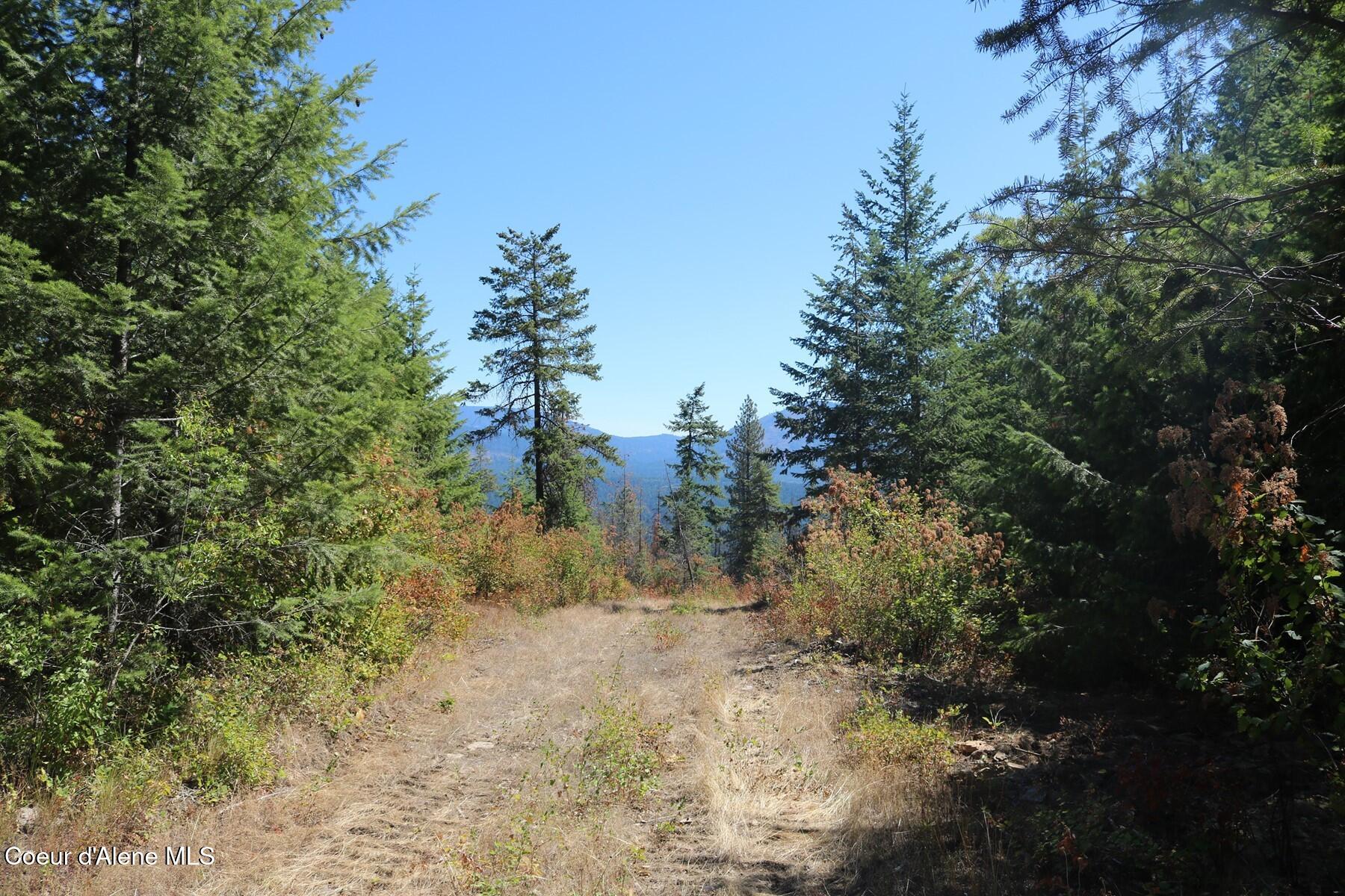 700 Outlook Road Cocolalla, ID 83813 - Photo 24 of 32 IMG_6498