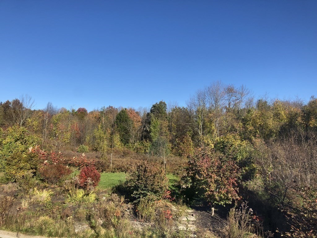 6 Nick Alan Circle Rutland, MA 01543 - Photo 30 of 39 a view of a city with lush green forest