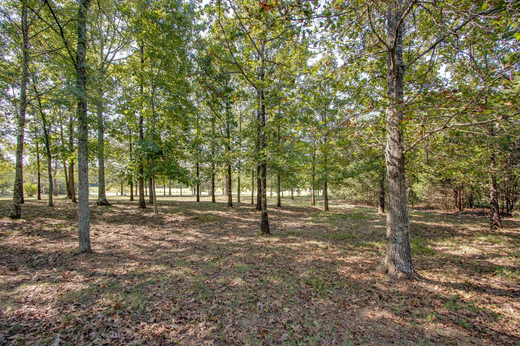 382 Lohman Road Mount Juliet, TN 37122 - Photo 30 of 30 a backyard of a house with lots of green space