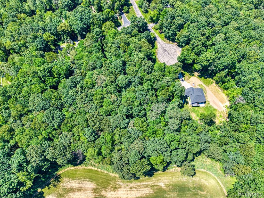 5663 Iosco Mountain Road Gregory, MI 48137 - Photo 12 of 13