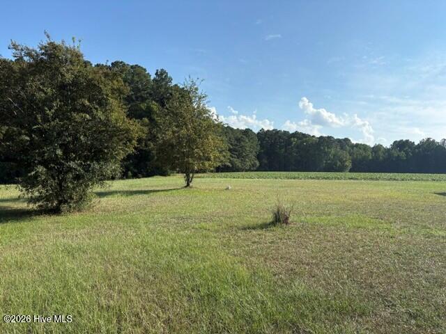 6171 Old Raleigh Road Sims, NC 27880 - Photo 1 of 2 Davis Land