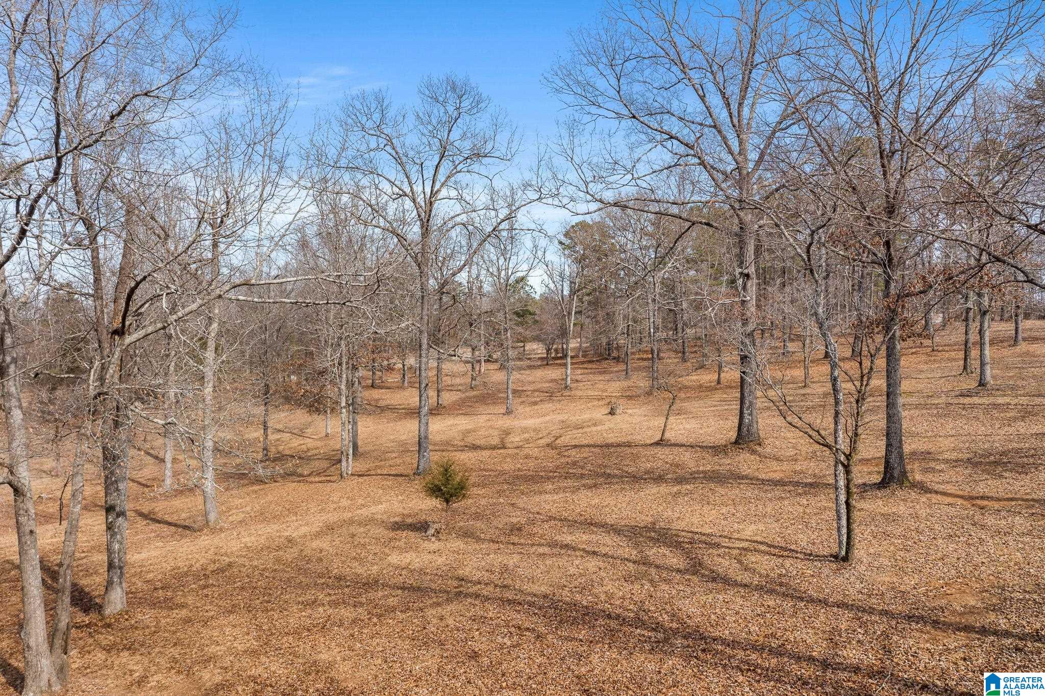 575 Mountain View Lane Springville, AL 35146 - Photo 64 of 84
