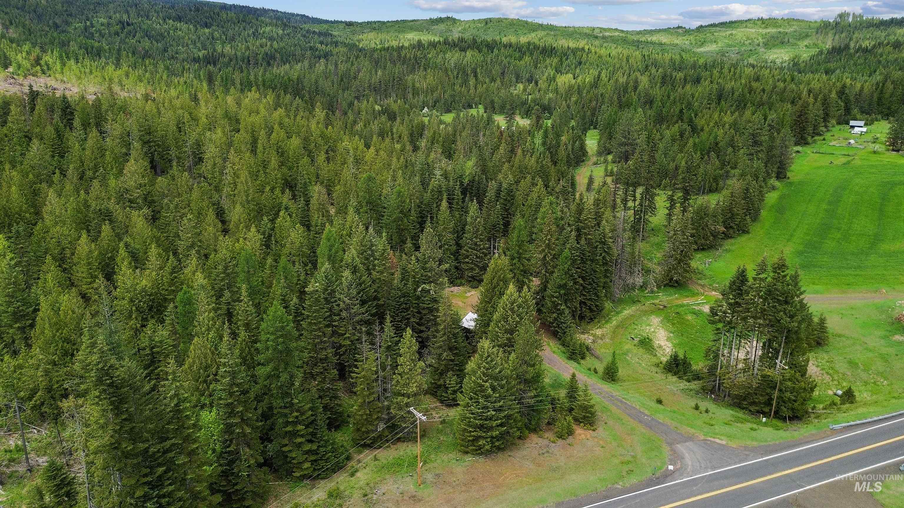 4715 Freeman Creek Road Lenore, ID 83541 - Photo 25 of 50