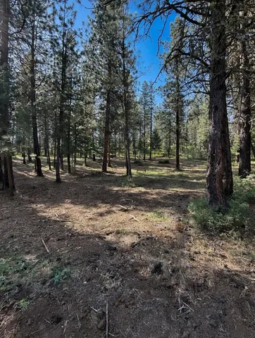 $107,000 | Lot 13 Lewis Drive, Unit 13, New Meadows, ID 83654