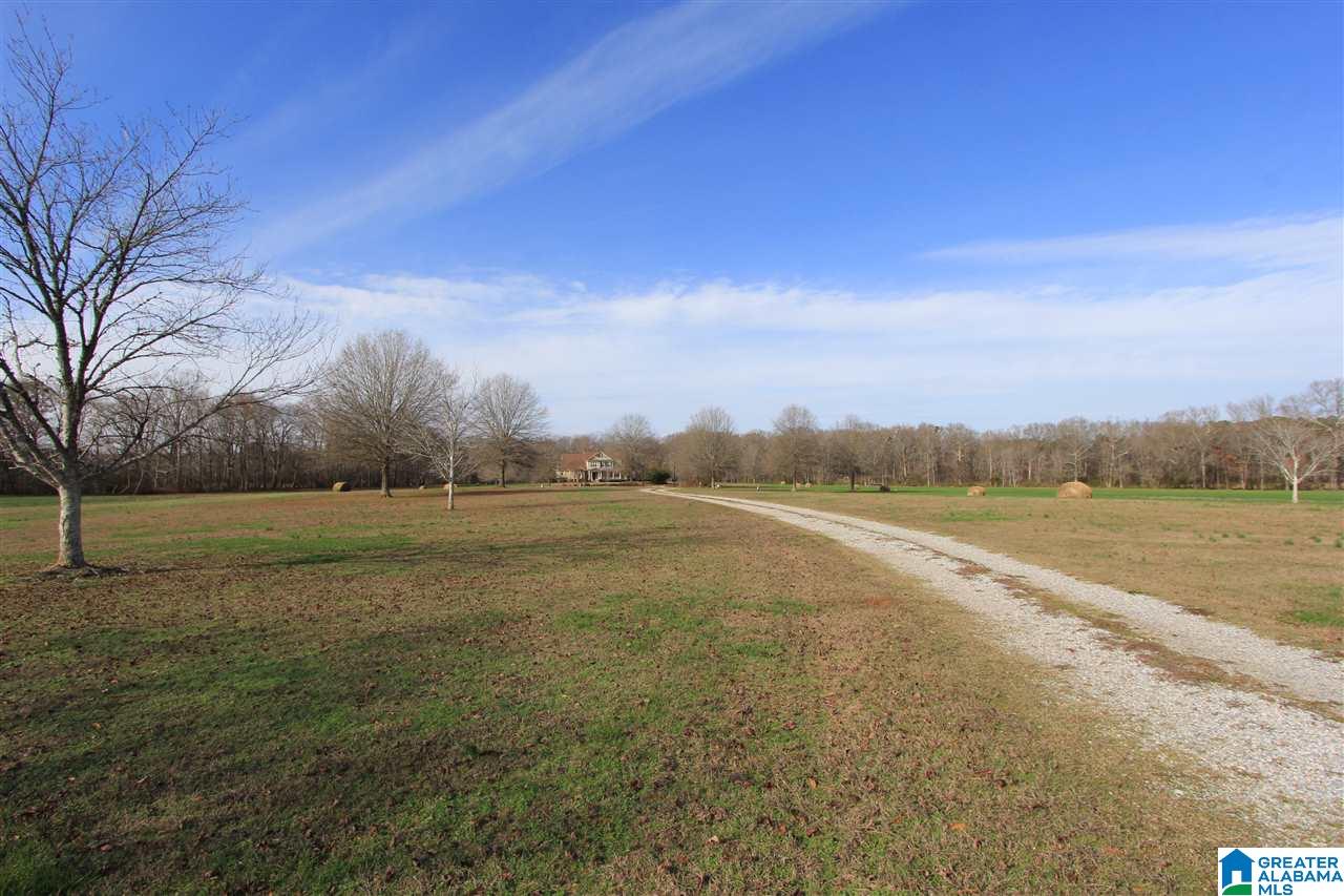 417 Willow Cove Road Oxford, AL 36203 - Photo 20 of 50