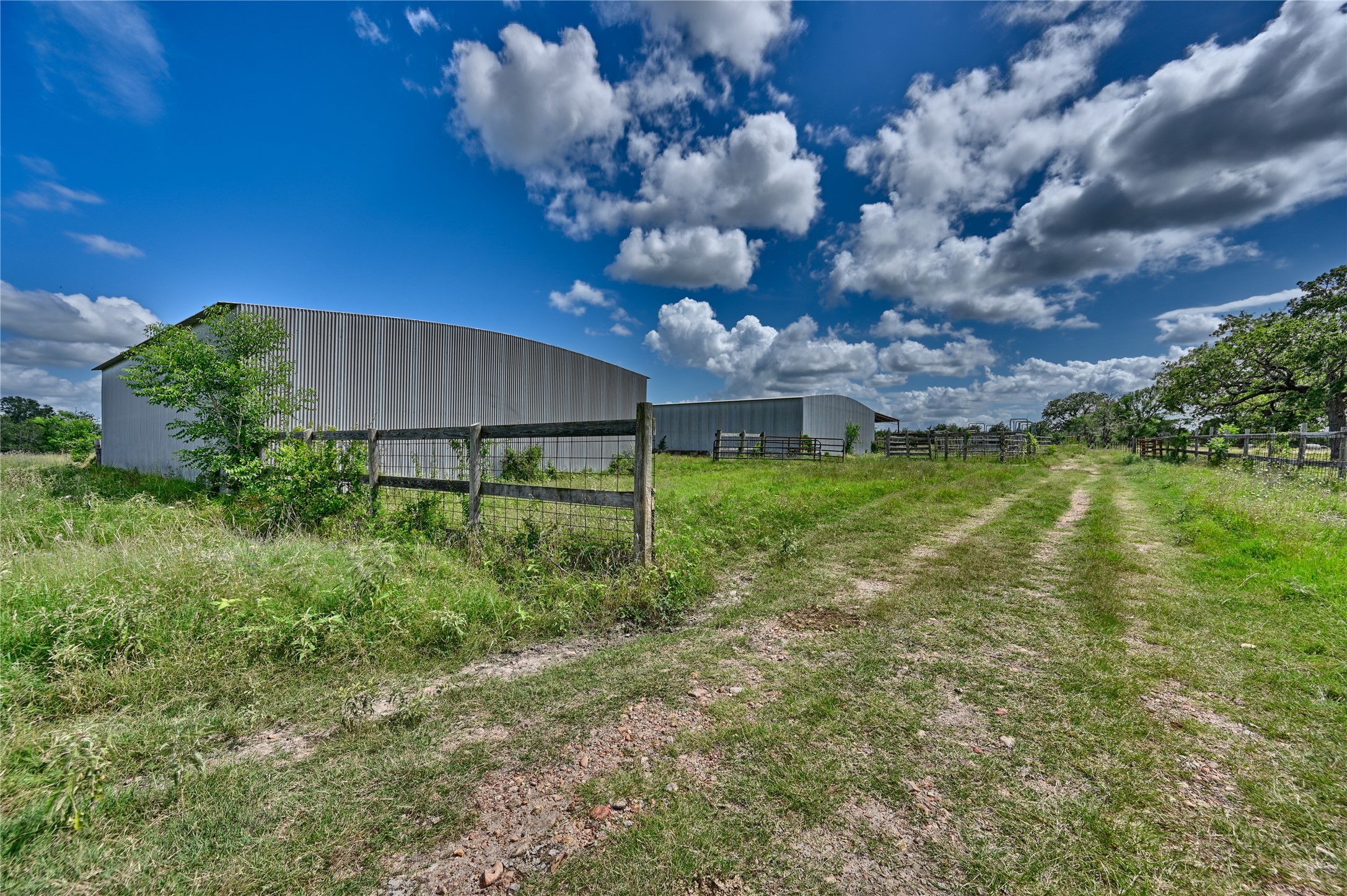 0 Homeyer Mountain Road Burton, TX 77835 - Photo 17 of 17 a backyard of a house with lots of green space