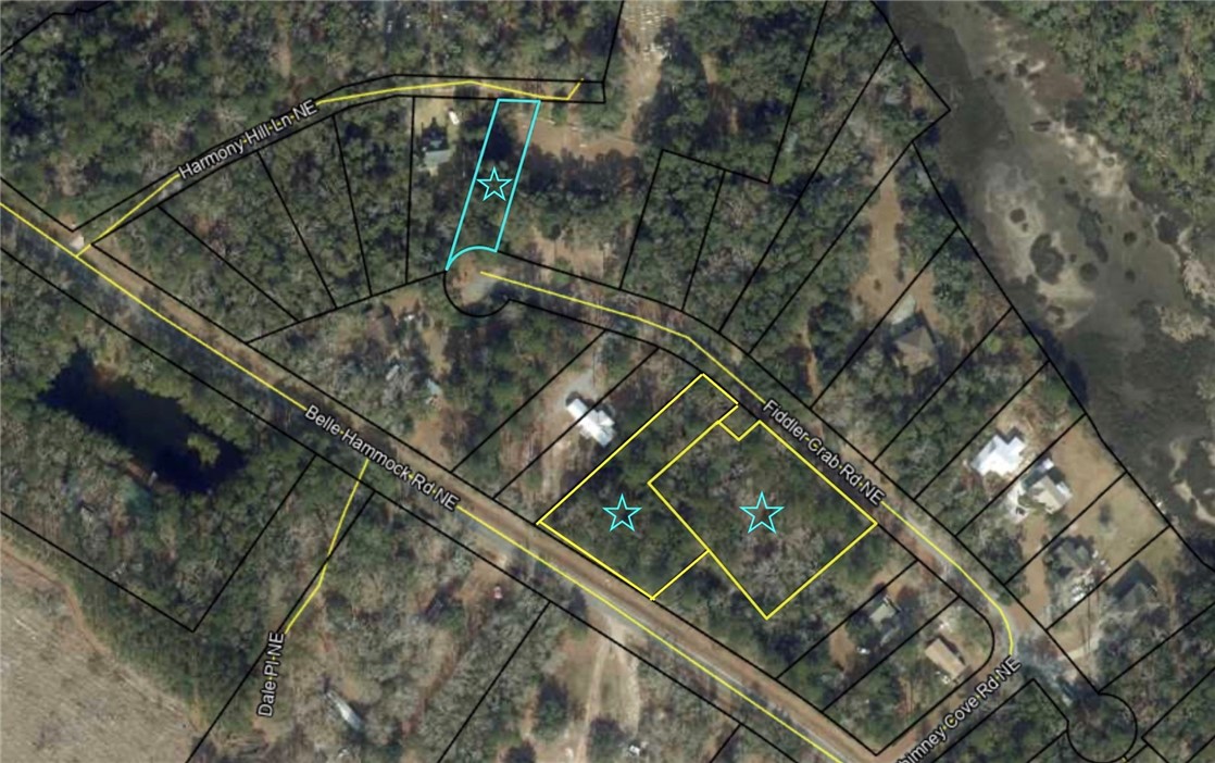 1182 Fiddler Crab Drive Townsend, GA 31331 - Photo 4 of 8 parcels from tax assessor website