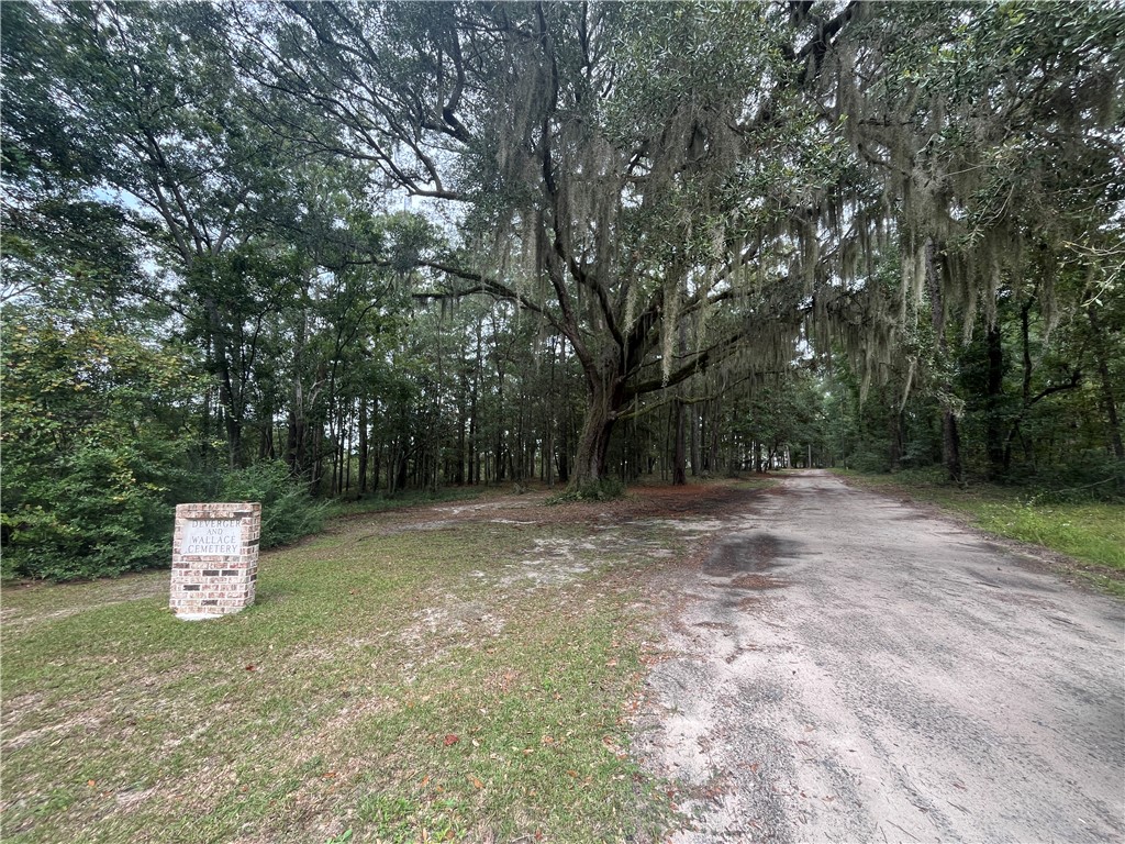 1182 Fiddler Crab Drive Townsend, GA 31331 - Photo 6 of 8 SIGN AT ENTRANCE TO HARMONY HILL (YOU CAN ACCESS LOT 6 VIA HARMONY HILL OR WHITE CHIMNEY COVE)