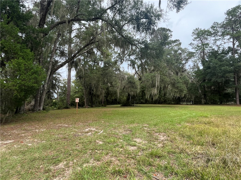 1182 Fiddler Crab Drive Townsend, GA 31331 - Photo 8 of 8 VIEW ACROSS THE STREET TOWARDS THE MARSH