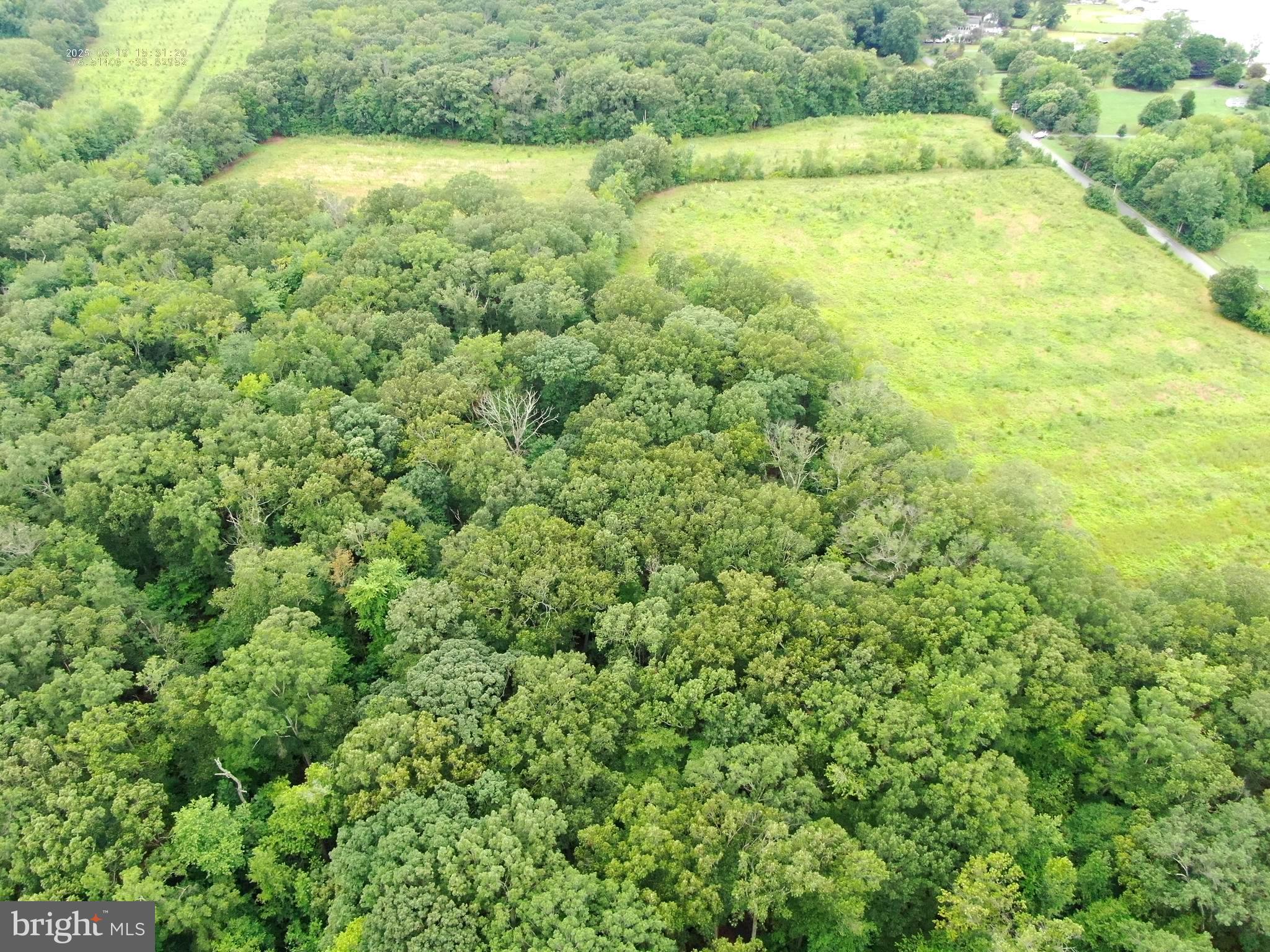6152 Shady Side Road Shady Side, MD 20764 - Photo 11 of 14 a view of a large yard with plants and large trees