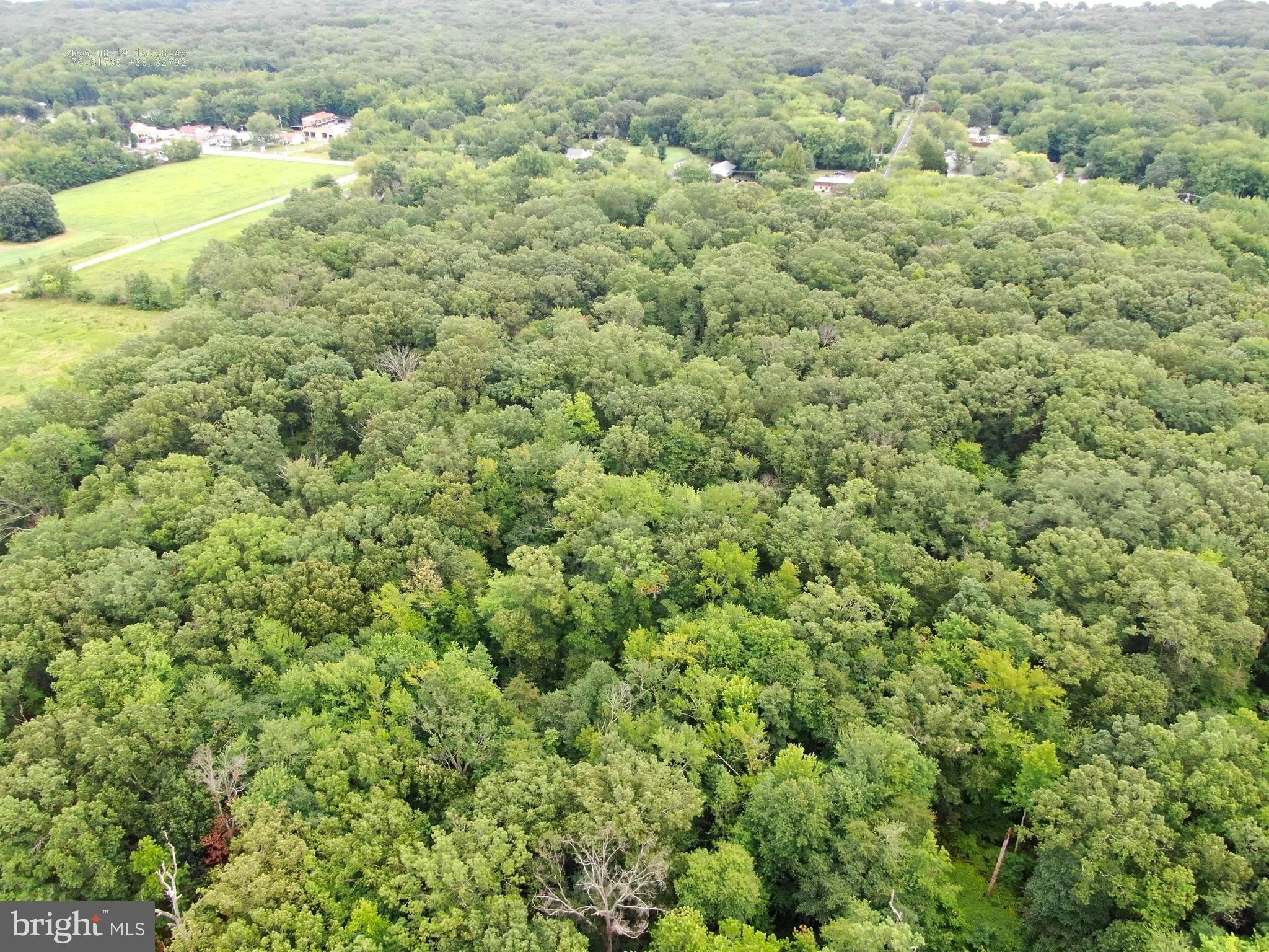 6152 Shady Side Road Shady Side, MD 20764 - Photo 13 of 14 a view of a bunch of trees in a field