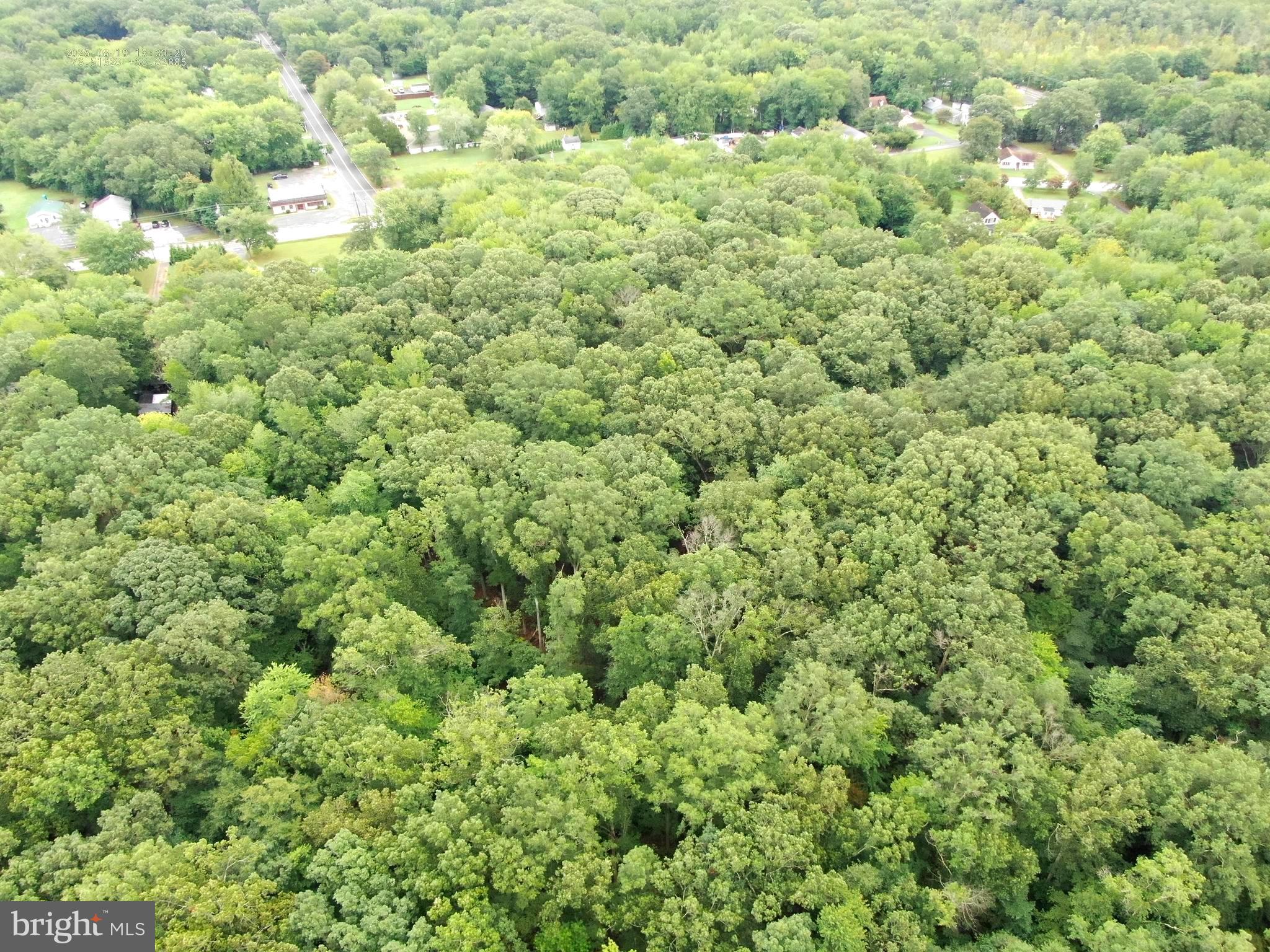 6152 Shady Side Road Shady Side, MD 20764 - Photo 14 of 14 a view of a big yard with plants and large trees