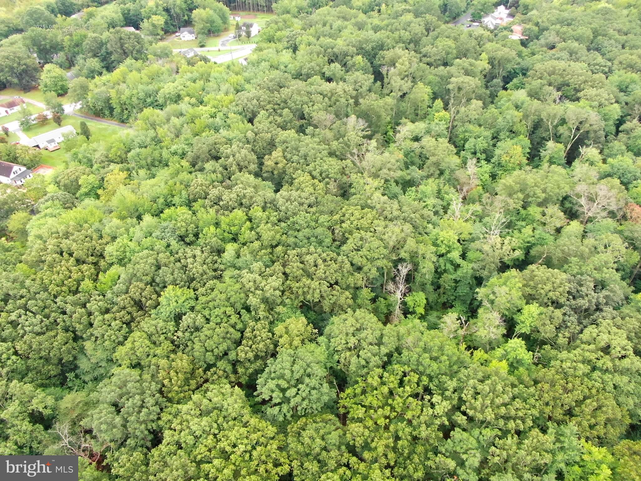 6152 Shady Side Road Shady Side, MD 20764 - Photo 2 of 14 a view of a lush green field