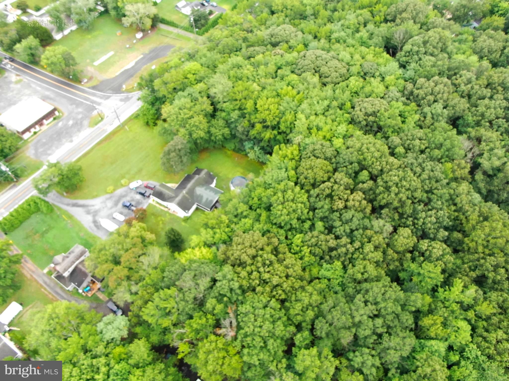 6152 Shady Side Road Shady Side, MD 20764 - Photo 3 of 14 a close up of a flower in a garden