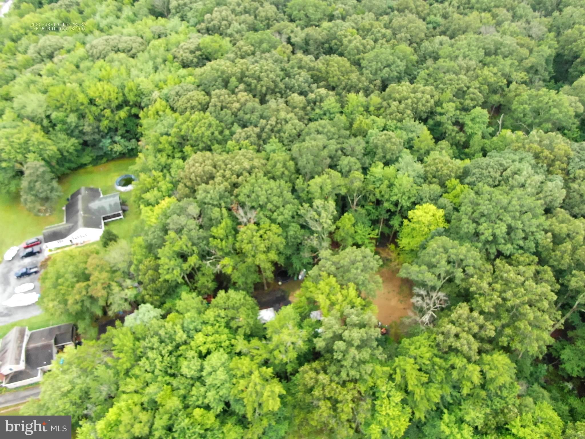 6152 Shady Side Road Shady Side, MD 20764 - Photo 4 of 14 a view of a forest with a tree