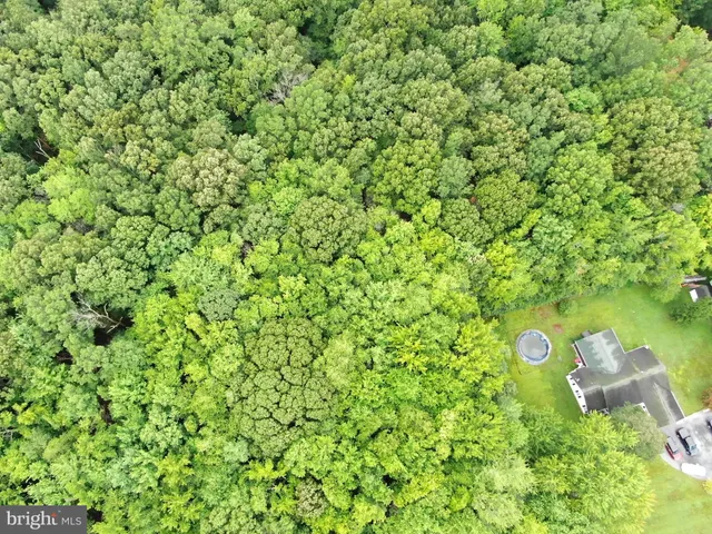 a view of a back yard