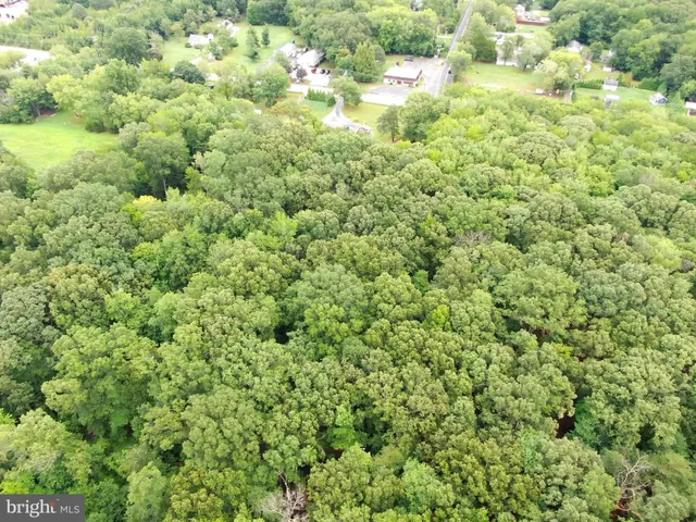 a view of a big yard with plants and wooden floor