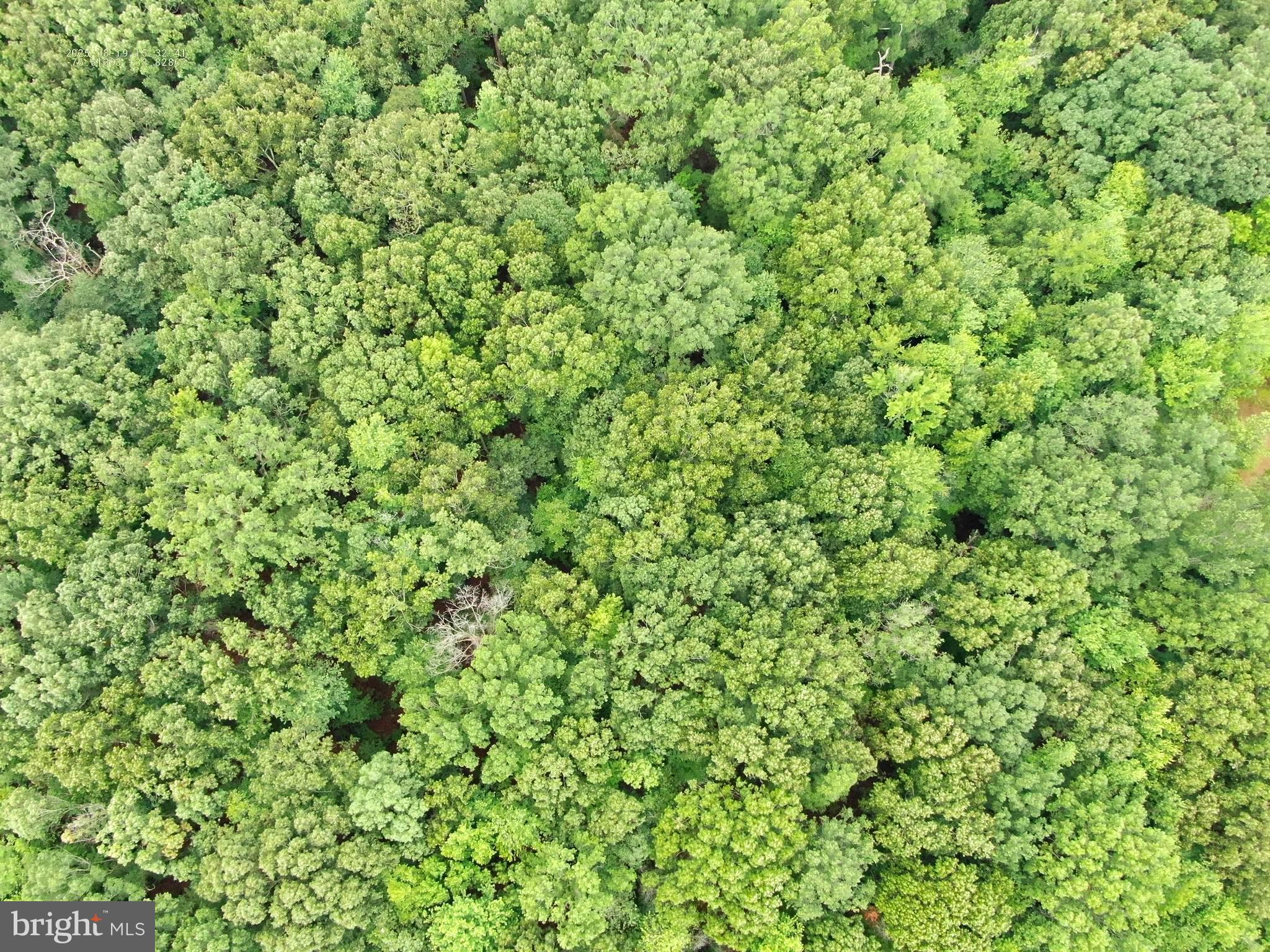 6152 Shady Side Road Shady Side, MD 20764 - Photo 10 of 14 a view of a green field