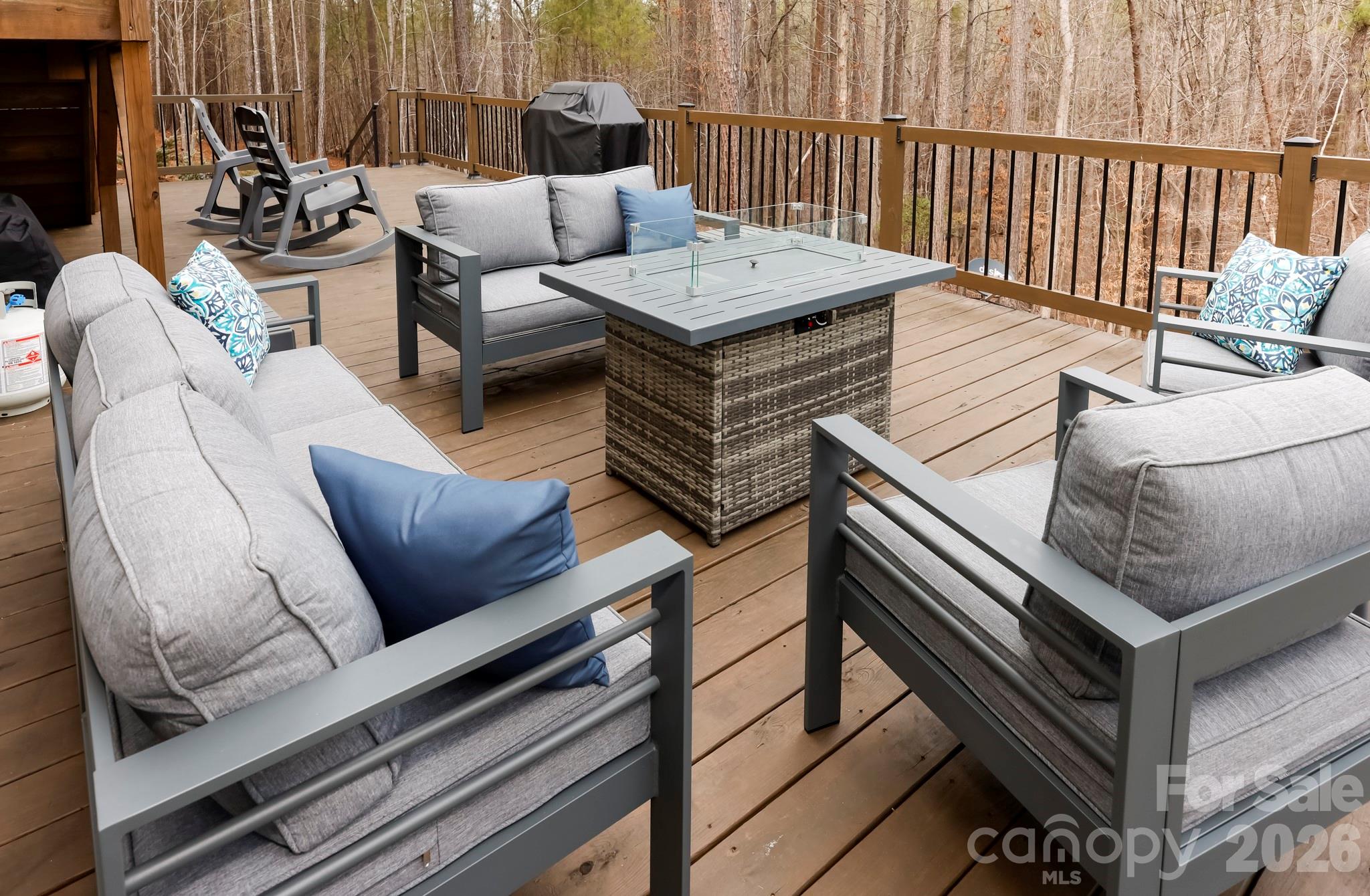 203 Burnt Chimney Lane Rutherfordton, NC 28139 - Photo 18 of 42