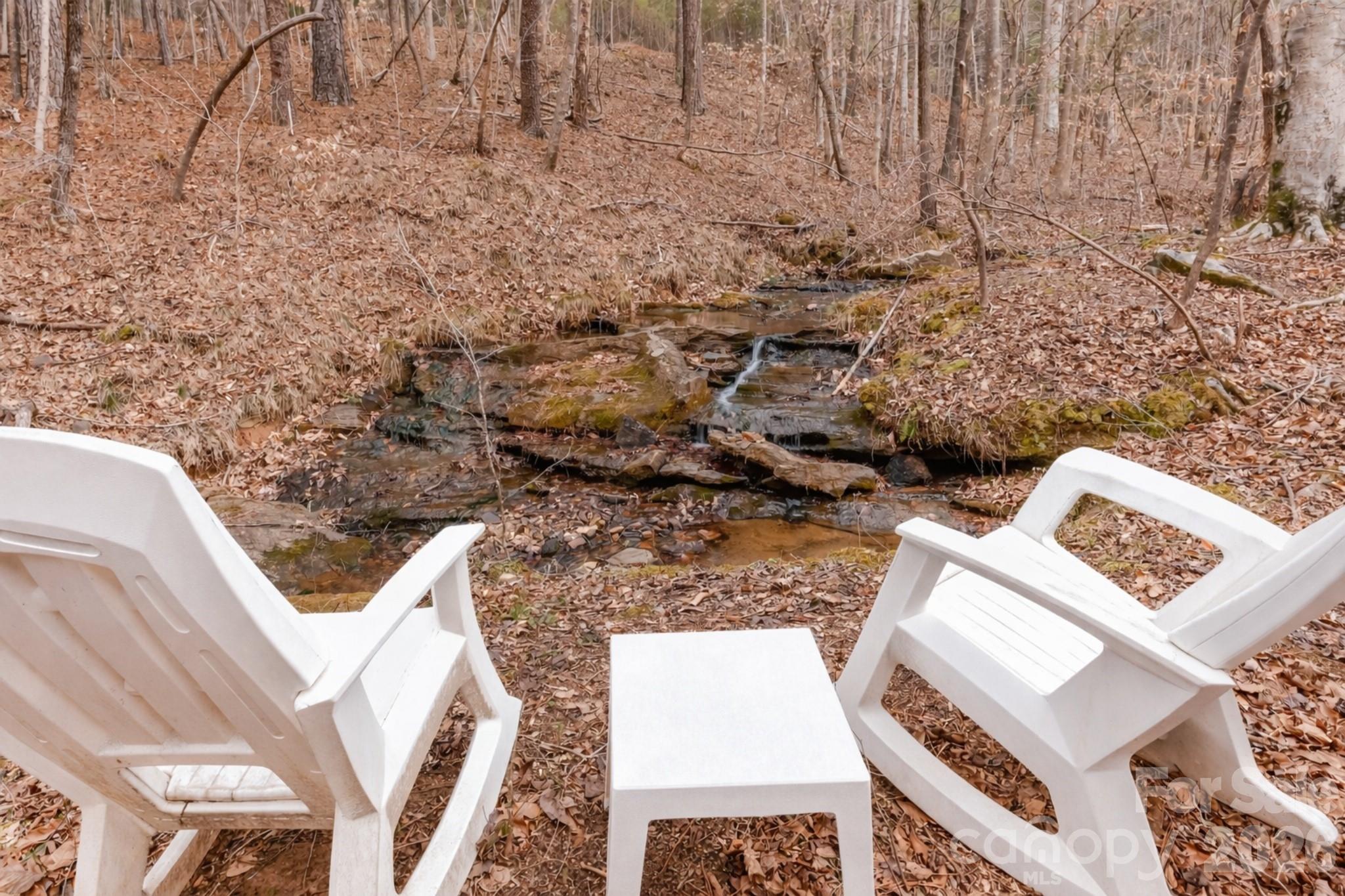 203 Burnt Chimney Lane Rutherfordton, NC 28139 - Photo 25 of 42