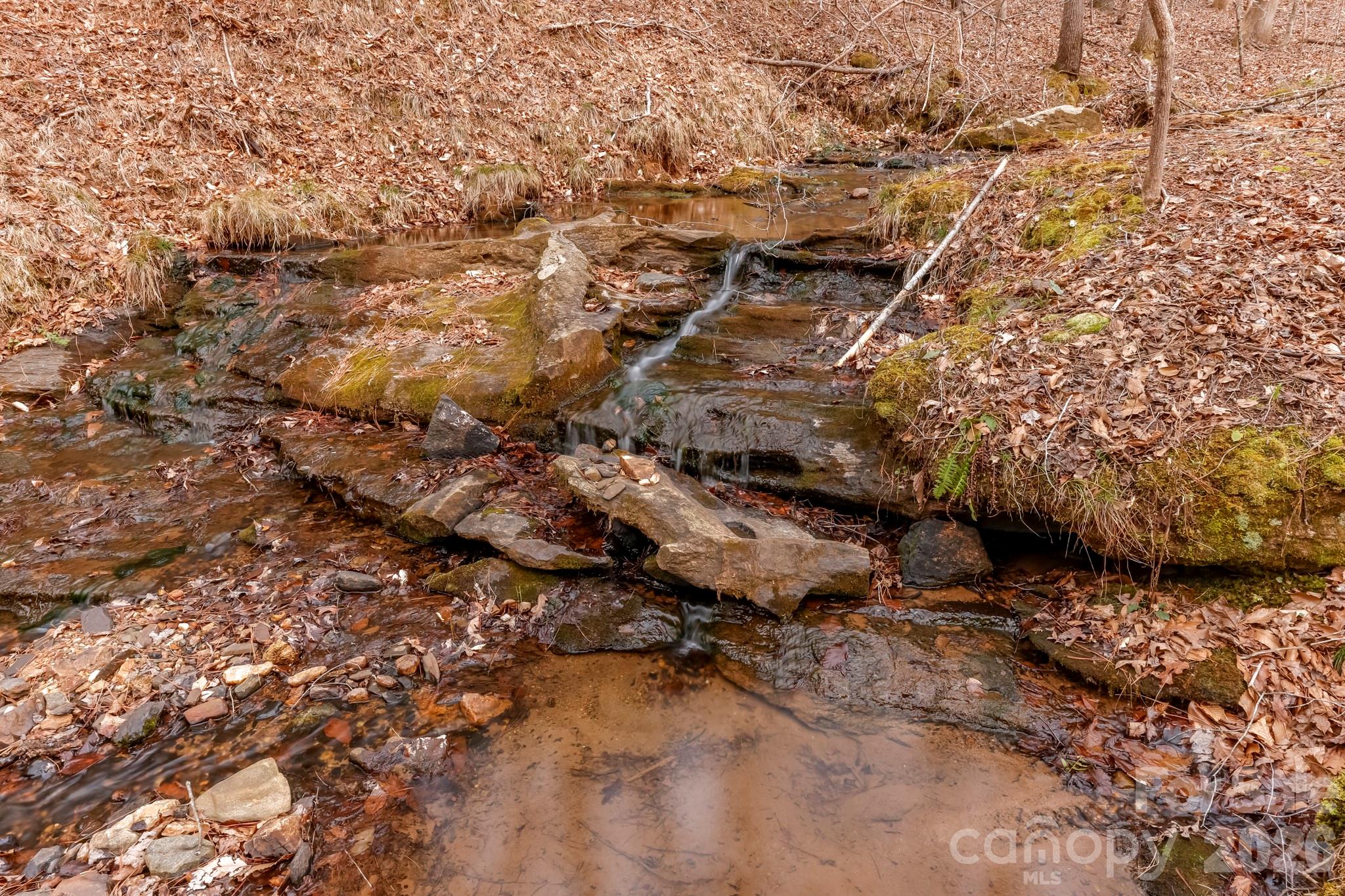203 Burnt Chimney Lane Rutherfordton, NC 28139 - Photo 27 of 42