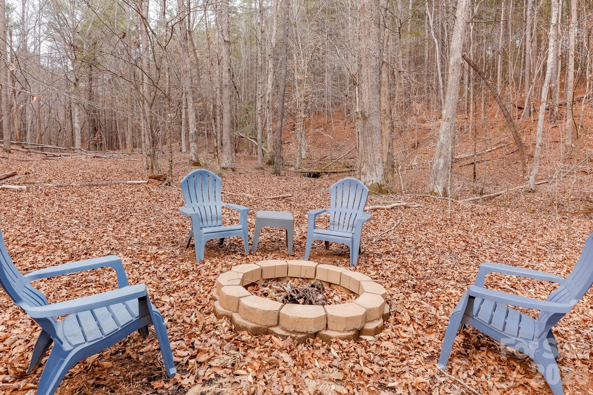 203 Burnt Chimney Lane Rutherfordton, NC 28139 - Photo 28 of 42