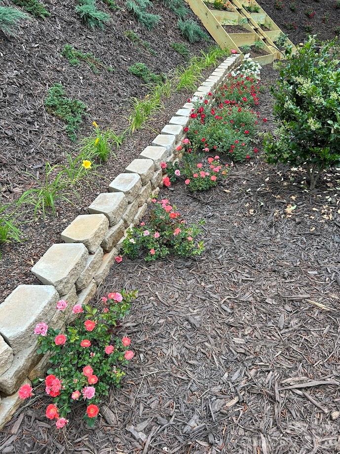 203 Burnt Chimney Lane Rutherfordton, NC 28139 - Photo 30 of 42