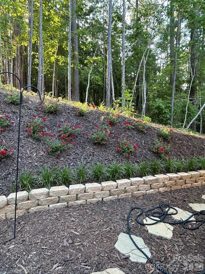 203 Burnt Chimney Lane Rutherfordton, NC 28139 - Photo 31 of 42