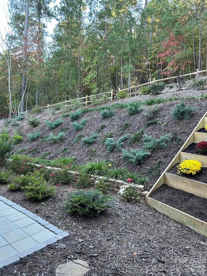 203 Burnt Chimney Lane Rutherfordton, NC 28139 - Photo 32 of 42