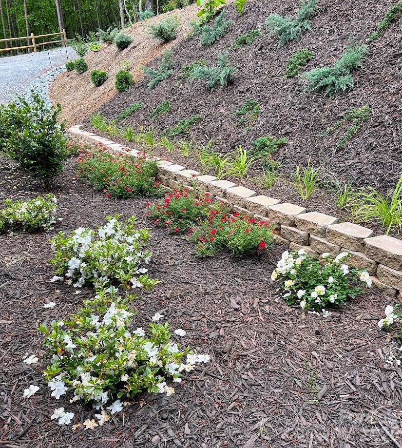 203 Burnt Chimney Lane Rutherfordton, NC 28139 - Photo 33 of 42