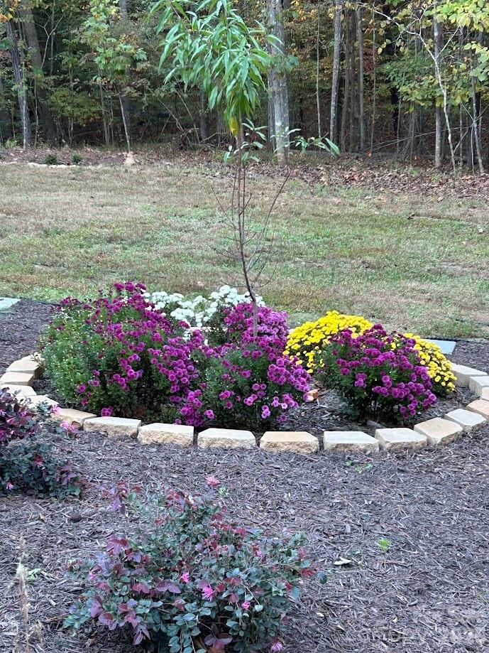 203 Burnt Chimney Lane Rutherfordton, NC 28139 - Photo 35 of 42