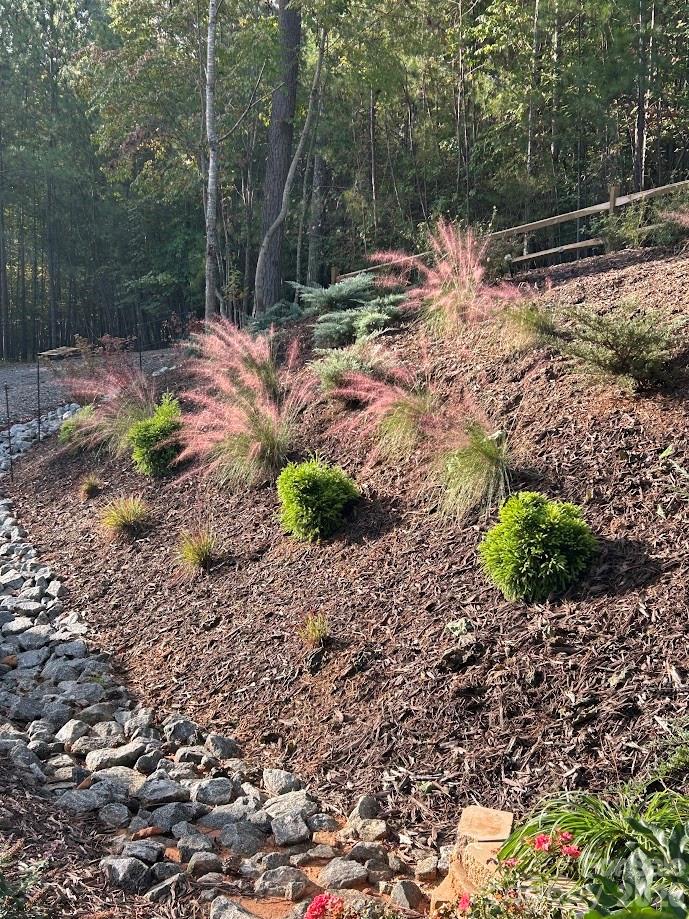 203 Burnt Chimney Lane Rutherfordton, NC 28139 - Photo 36 of 42