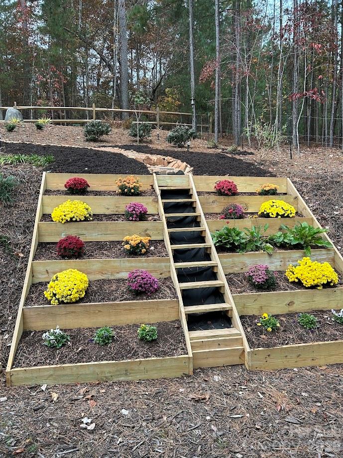 203 Burnt Chimney Lane Rutherfordton, NC 28139 - Photo 37 of 42