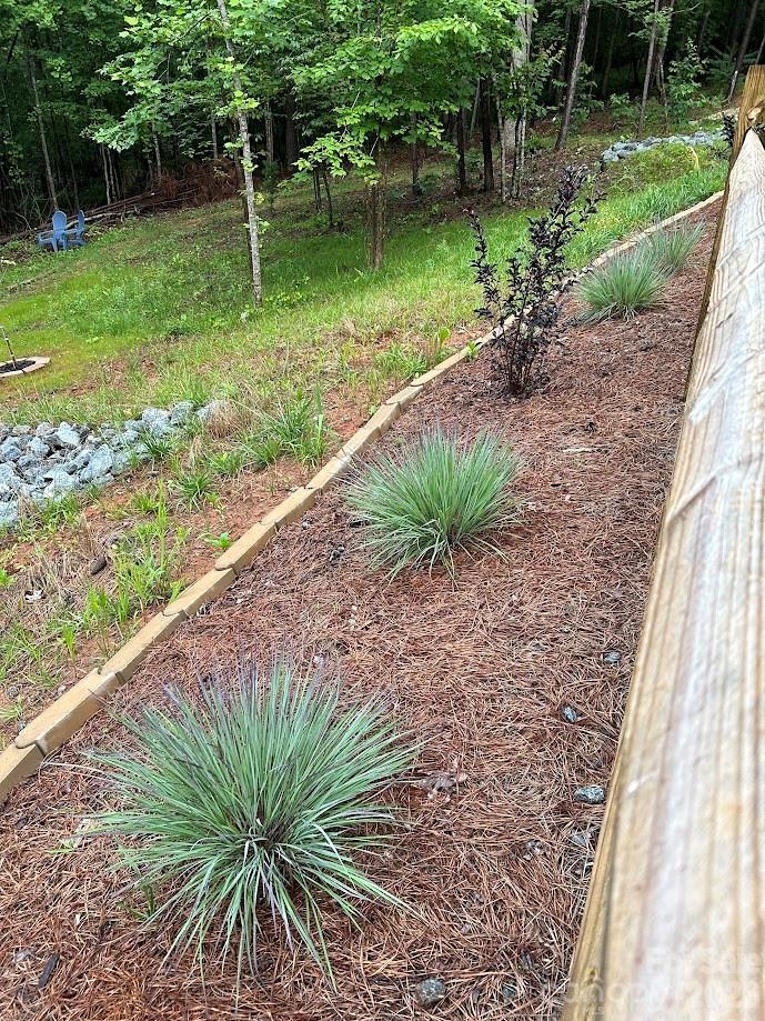 203 Burnt Chimney Lane Rutherfordton, NC 28139 - Photo 38 of 42