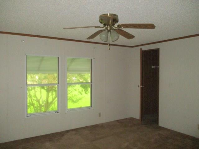 39419 South Hoover Road Ponchatoula, LA 70454 - Photo 16 of 24 Gallery Image 16