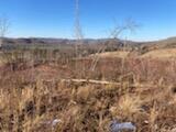 Grassy Meadows Road Alderson, WV 24910 - Photo 2 of 27 Gallery Image 2