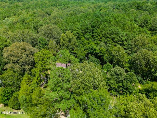 1644 South McRaven Road Jackson, MS 39209 - Photo 23 of 26 1644A McRaven Rd (5)