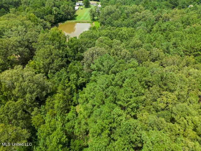 1644 South McRaven Road Jackson, MS 39209 - Photo 26 of 26 1644A McRaven Rd (8)