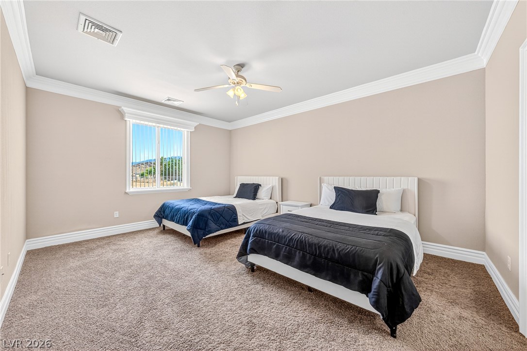 4320 Tiger Road Pahrump, NV 89048 - Photo 58 of 58