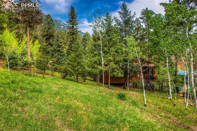 9590 Escondido Road Cascade, CO 80809 - Photo 38 of 43 Gallery Image 38