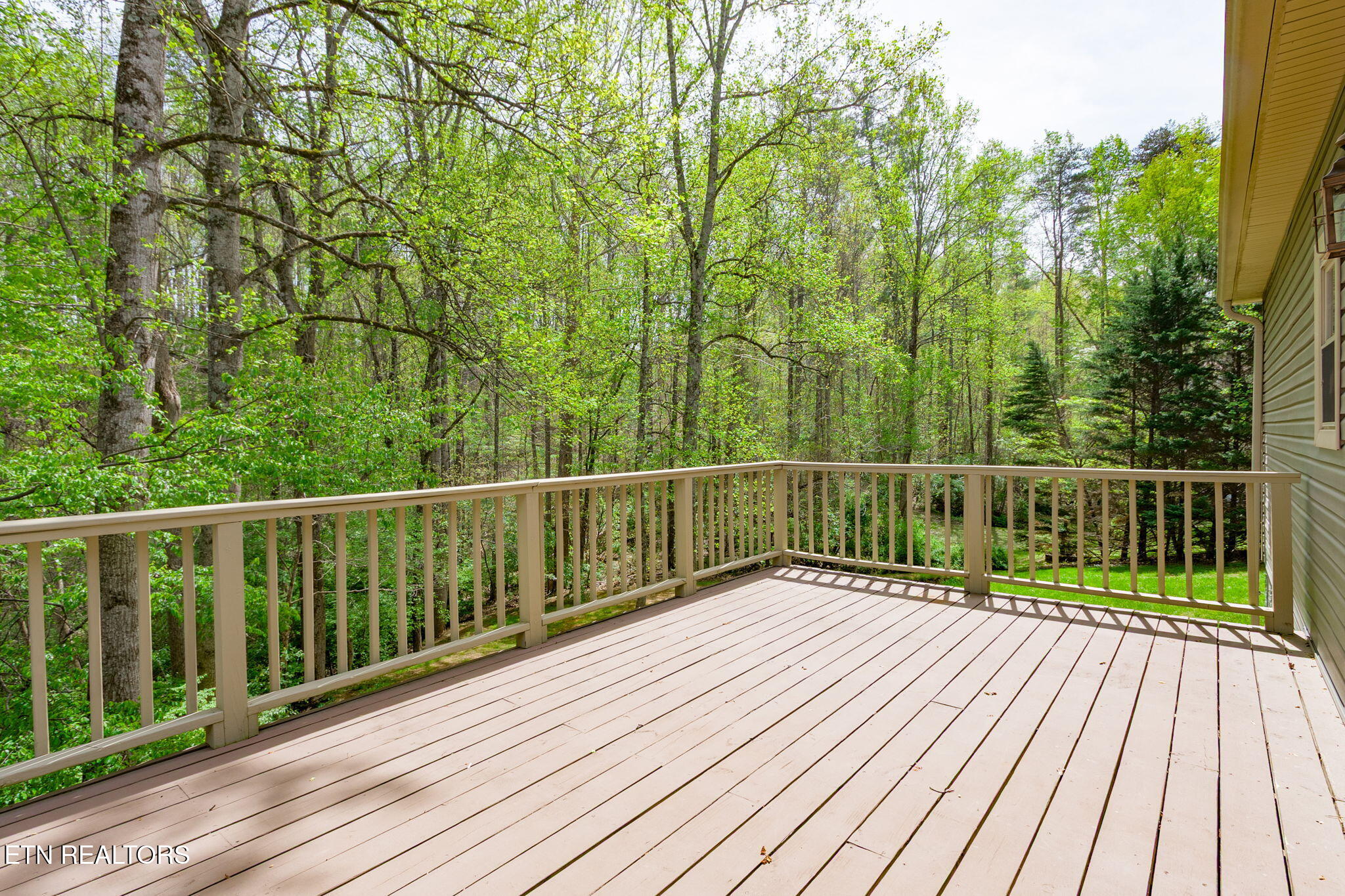 3216 Shellbark Drive Powell, TN 37849 - Photo 14 of 25 1000075039