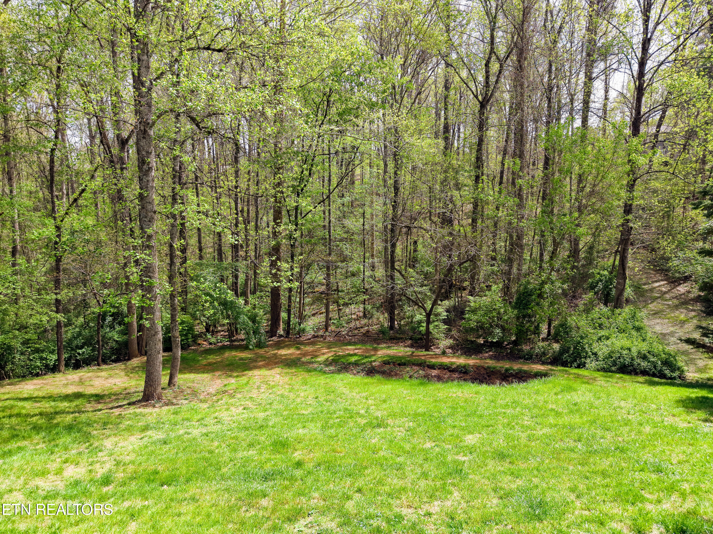 3216 Shellbark Drive Powell, TN 37849 - Photo 25 of 25 1000075007