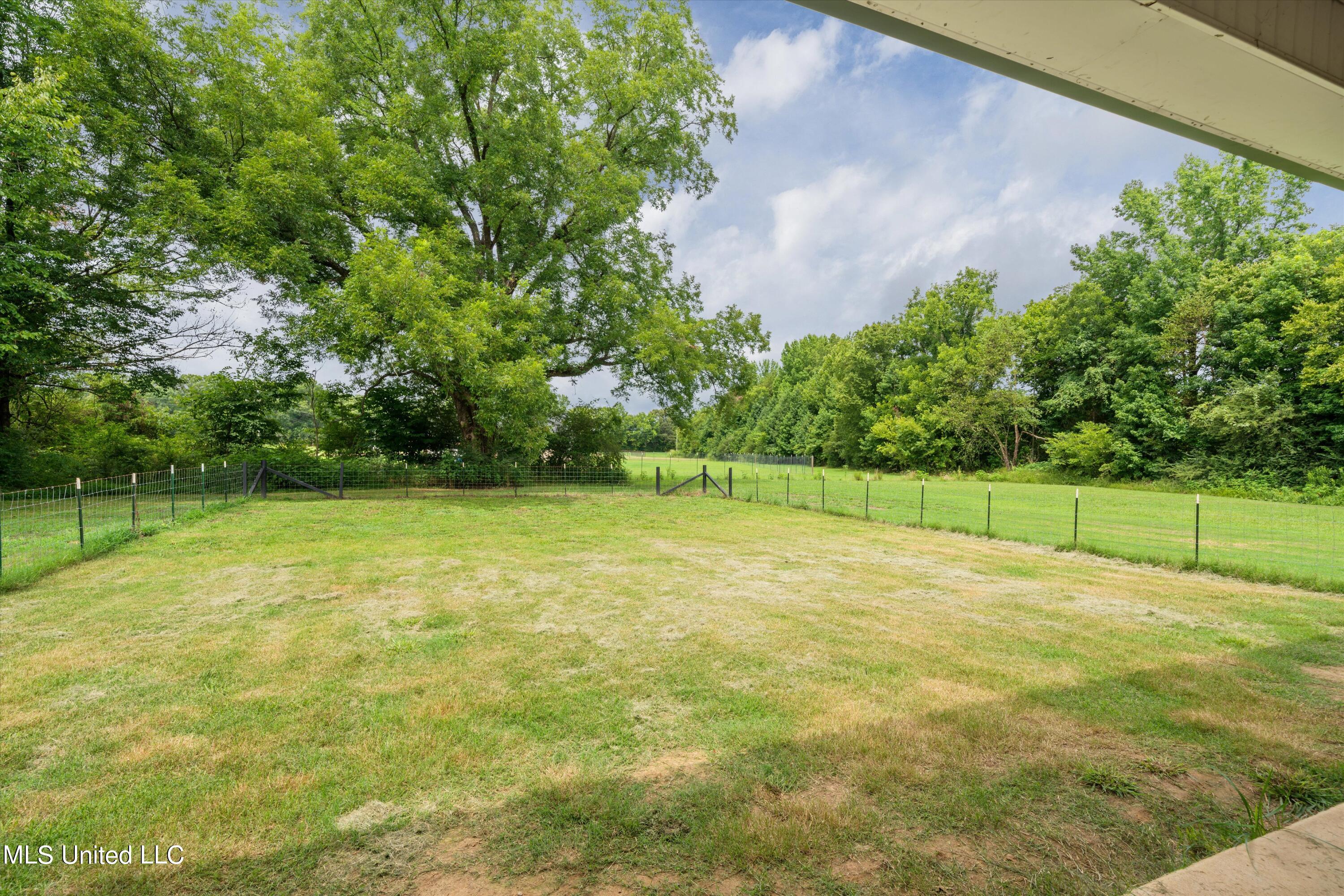 21 Moore Loop Byhalia, MS 38611 - Photo 19 of 22 Back yard