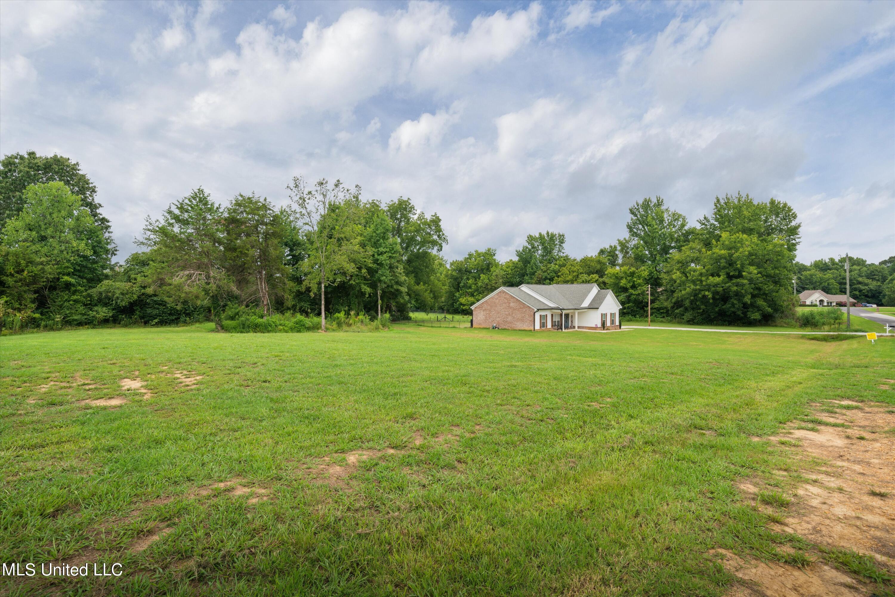 21 Moore Loop Byhalia, MS 38611 - Photo 21 of 22 Side yard