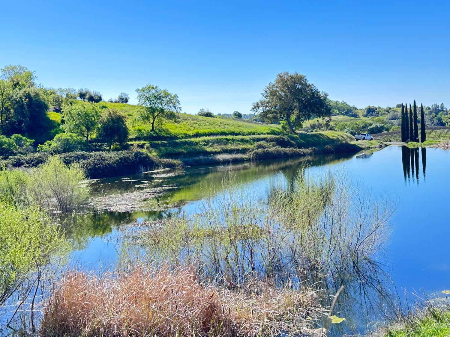 8055 Airola Road Angels Camp, CA 95222 - Photo 1 of 37