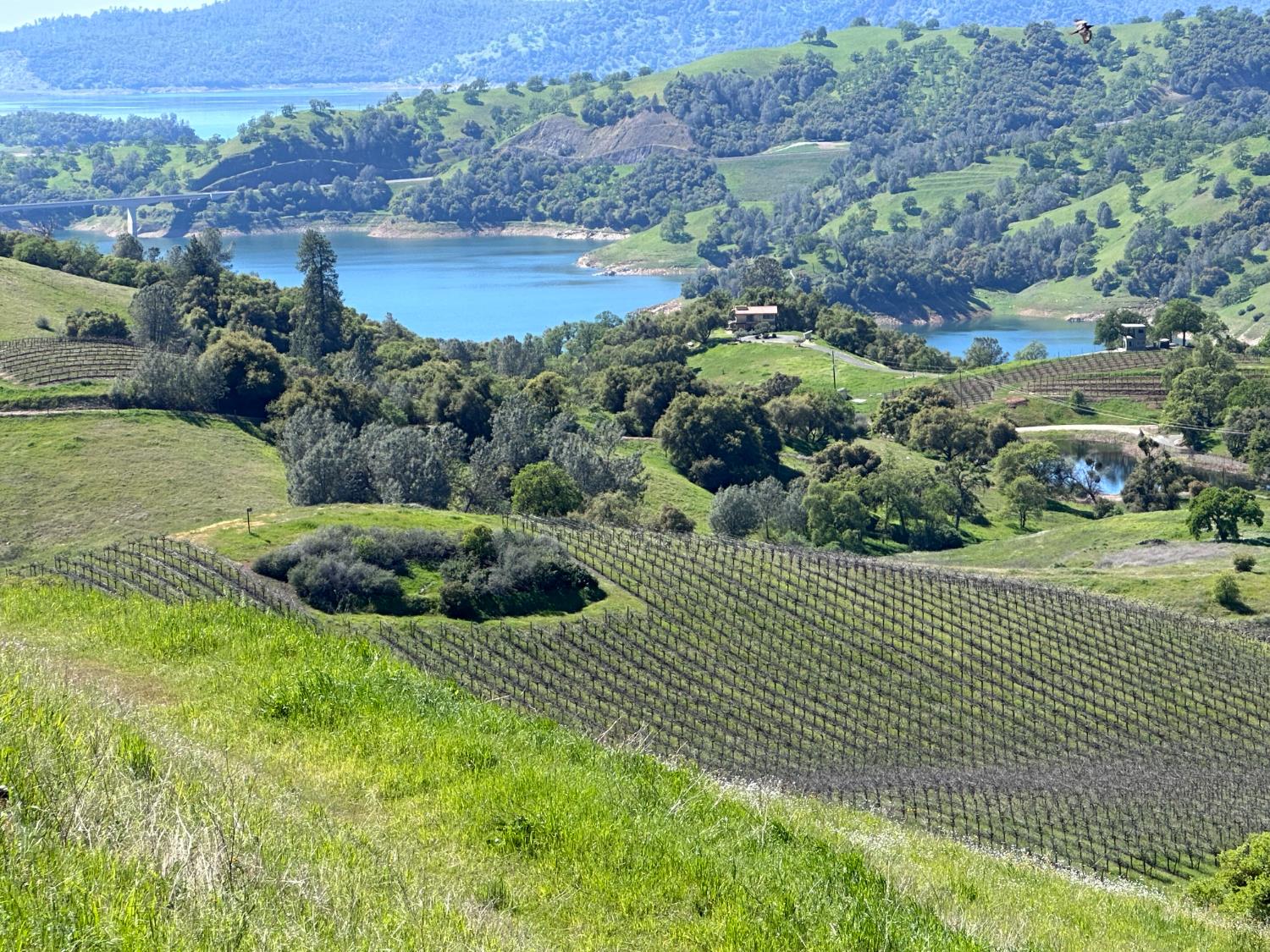 8055 Airola Road Angels Camp, CA 95222 - Photo 20 of 37